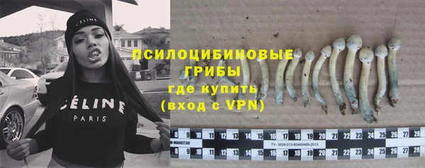 спиды Арсеньев