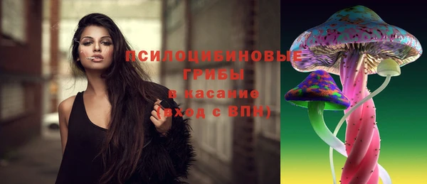 спиды Арсеньев