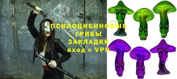 спиды Арсеньев