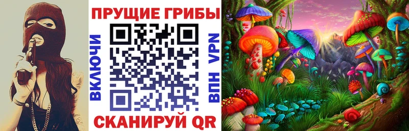 Псилоцибиновые грибы прущие грибы MEGA вход Сосновоборск