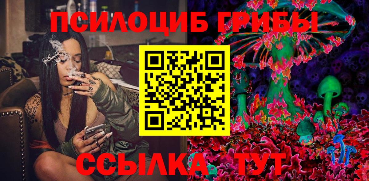 Галлюциногенные грибы MAGIC MUSHROOMS  Псилоцибиновые грибы GOLDEN TEACHER  Сосновоборск  цена   Вход с VPN 
