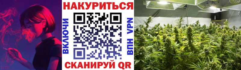 Каннабис гибрид  Сосновоборск 